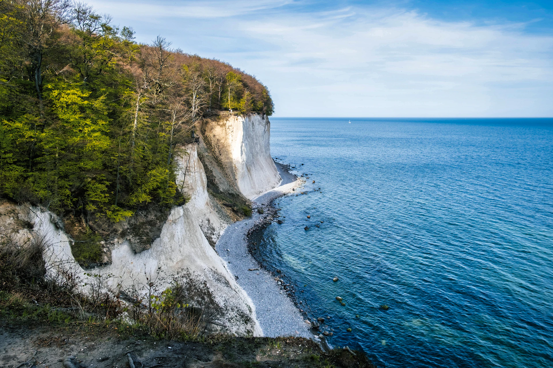 Weiße Kreidefelsen und Strand im Nationalpark Jasmund auf Rügen