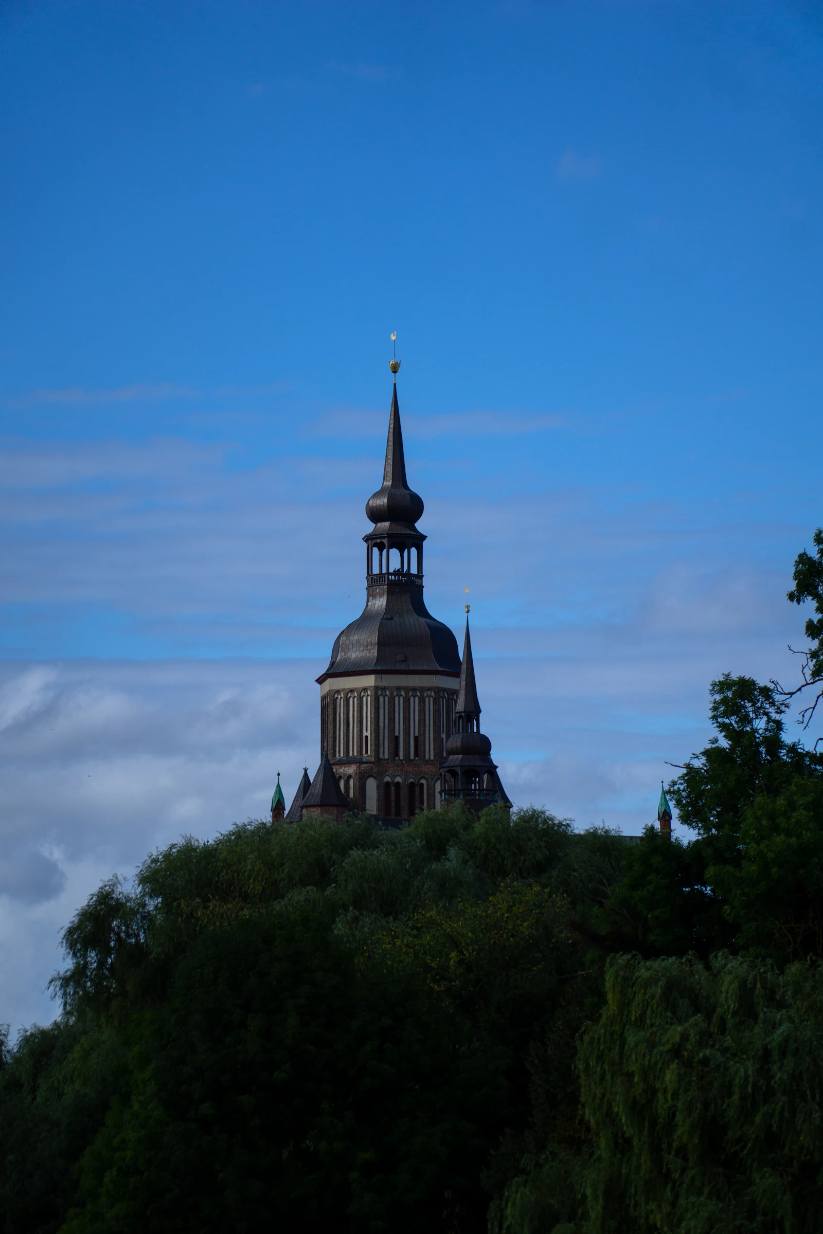 Grüner Park in Stralsund mit Kirchturm im Hintergrund